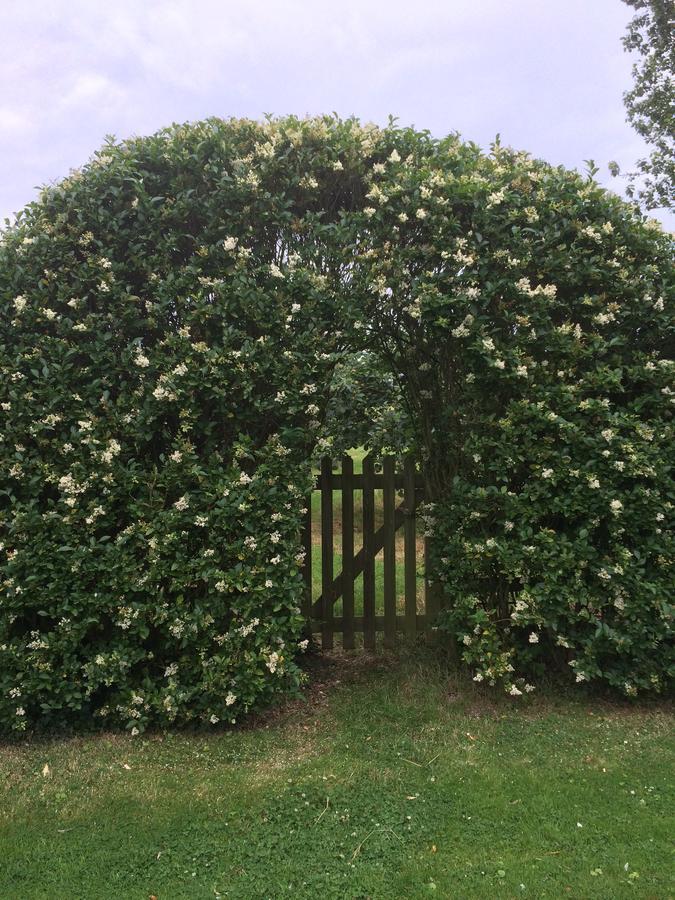 Bed and Breakfast Lime Trees Farm Bicester Exterior foto